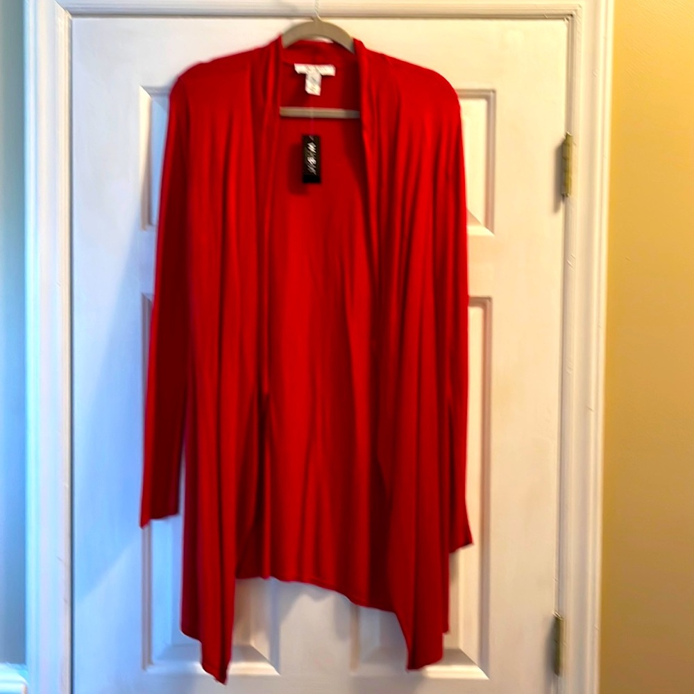 White House Black Market red sweater